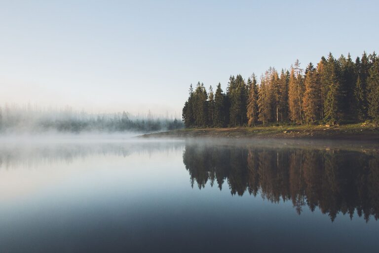 resized_21_api